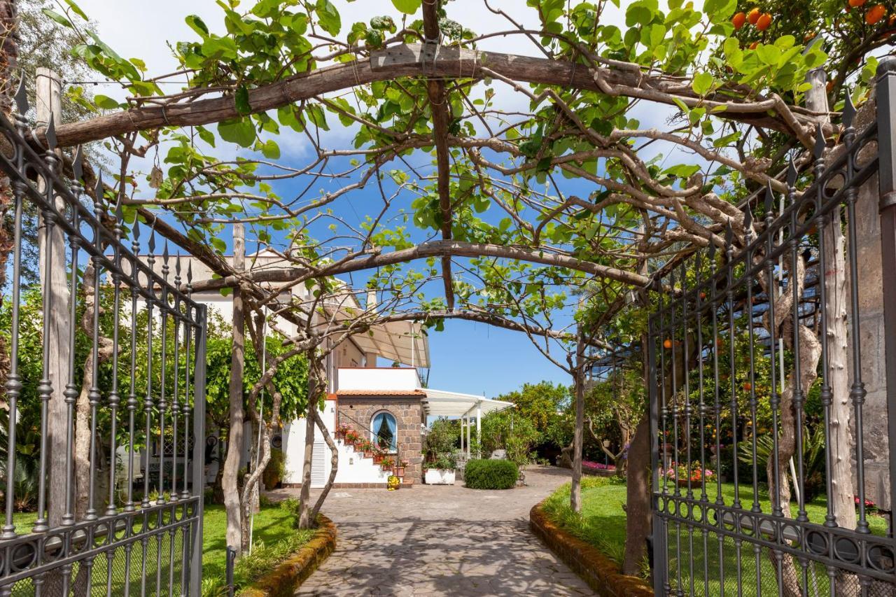 Villa Maresca B&B Piano di Sorrento Extérieur photo
